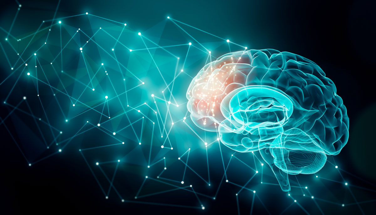 IMAGEN DE LAS CONEXIONES CEREBRALES